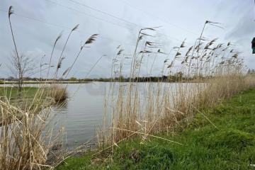 Фото №4: Личное подсобное хозяйство - Осечки, мкр. дачное товарищество Миловидово, ул. Вишнёвая, 59