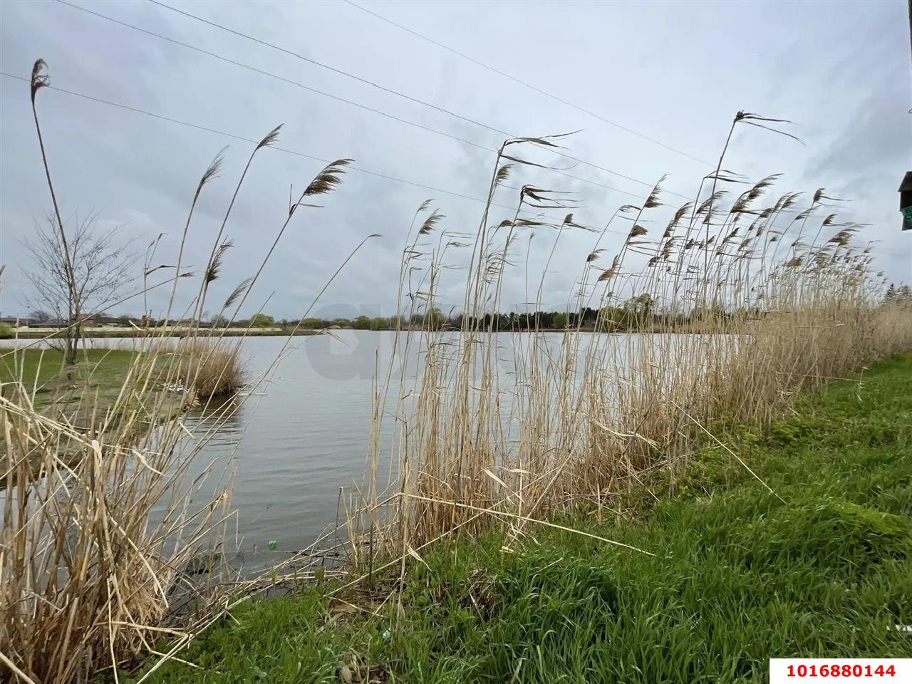 Фото №4: Личное подсобное хозяйство - Осечки, мкр. дачное товарищество Миловидово, ул. Вишнёвая, 59