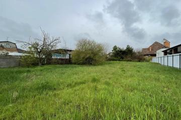 Фото №1: Личное подсобное хозяйство - Осечки, мкр. дачное товарищество Миловидово, ул. Вишнёвая, 59