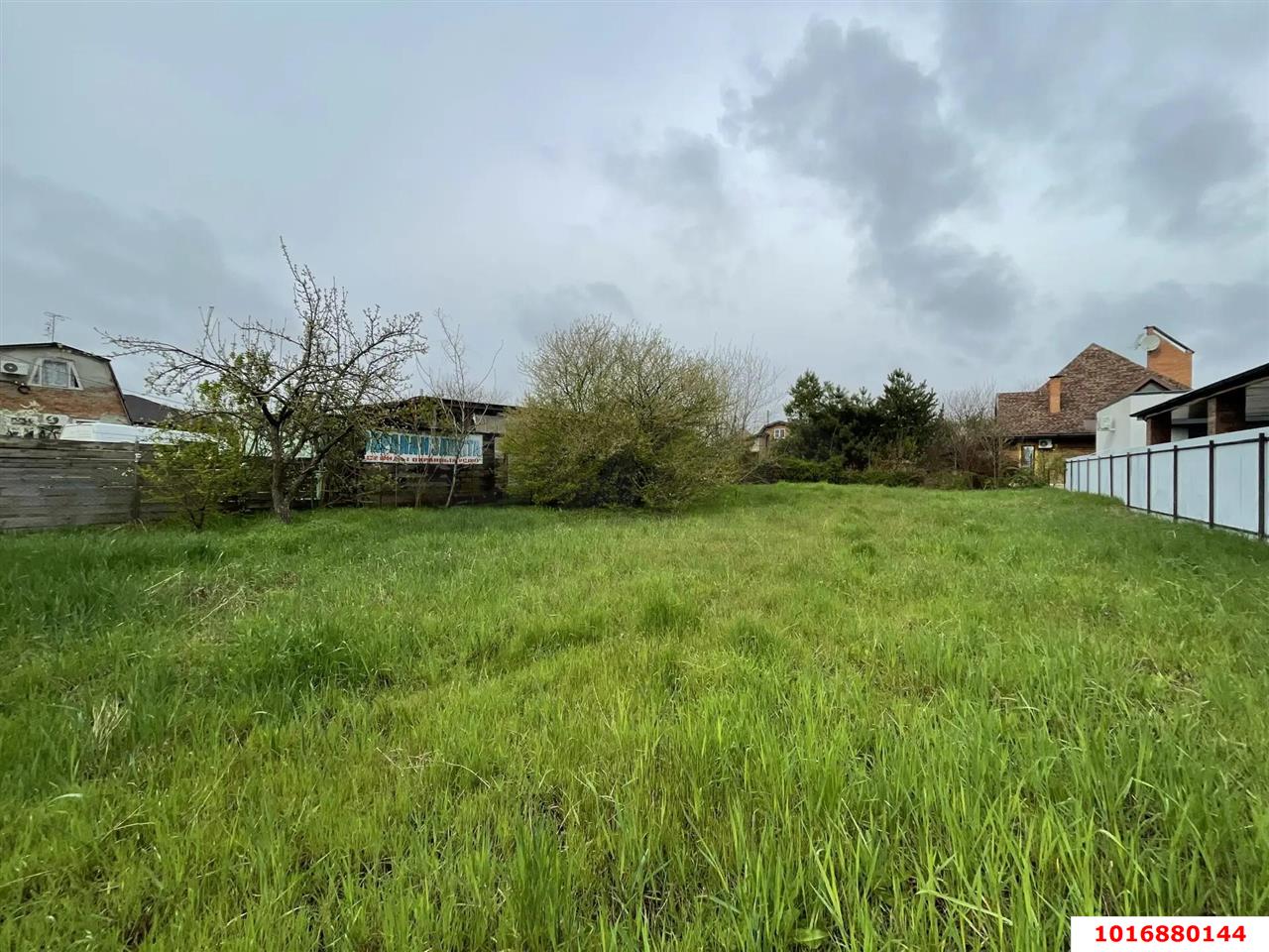 Фото №1: Личное подсобное хозяйство - Осечки, мкр. дачное товарищество Миловидово, ул. Вишнёвая, 59