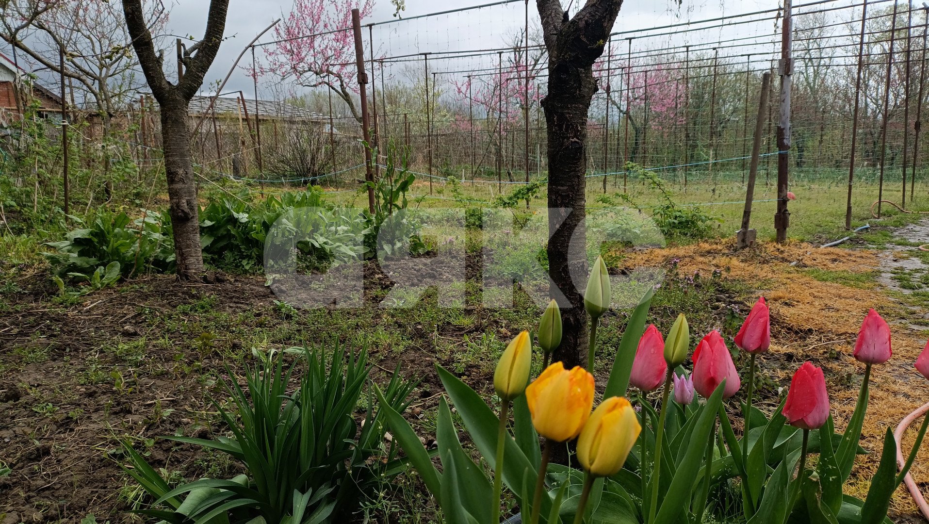 Фото №30: Дом 165 м² + 18 сот. - Саратовская, ул. Коммунаров