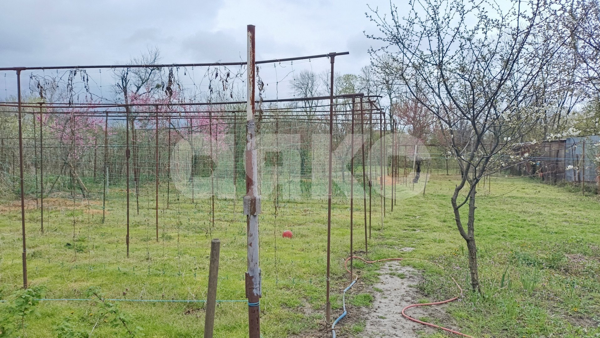 Фото №31: Дом 165 м² + 18 сот. - Саратовская, ул. Коммунаров