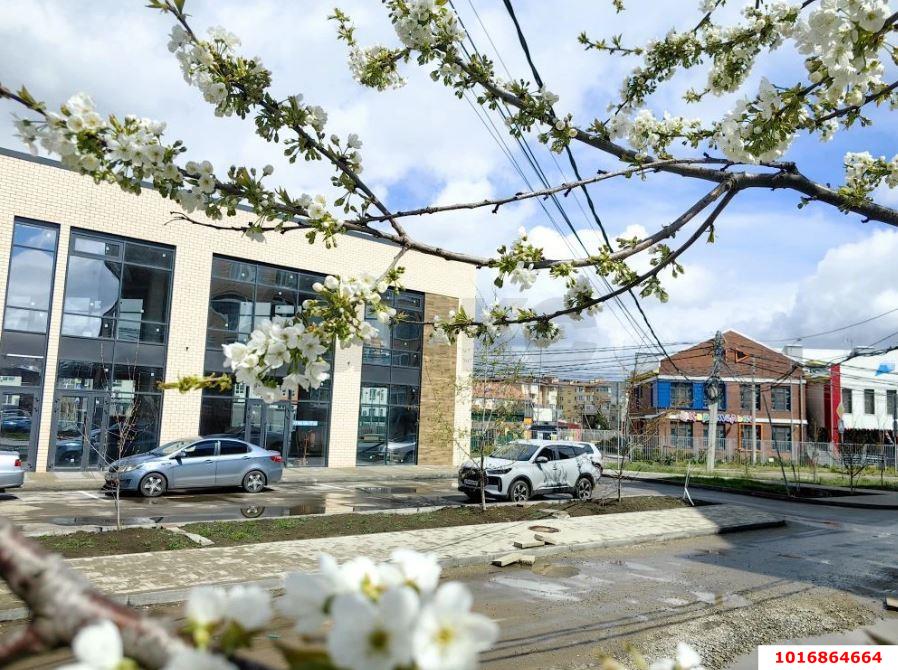 Фото №10: Студия 26 м² - Краснодар, Прикубанский внутригородской округ, мкр. ЖК Калинино Парк, ул. имени В.М. Комарова, 21/1к5