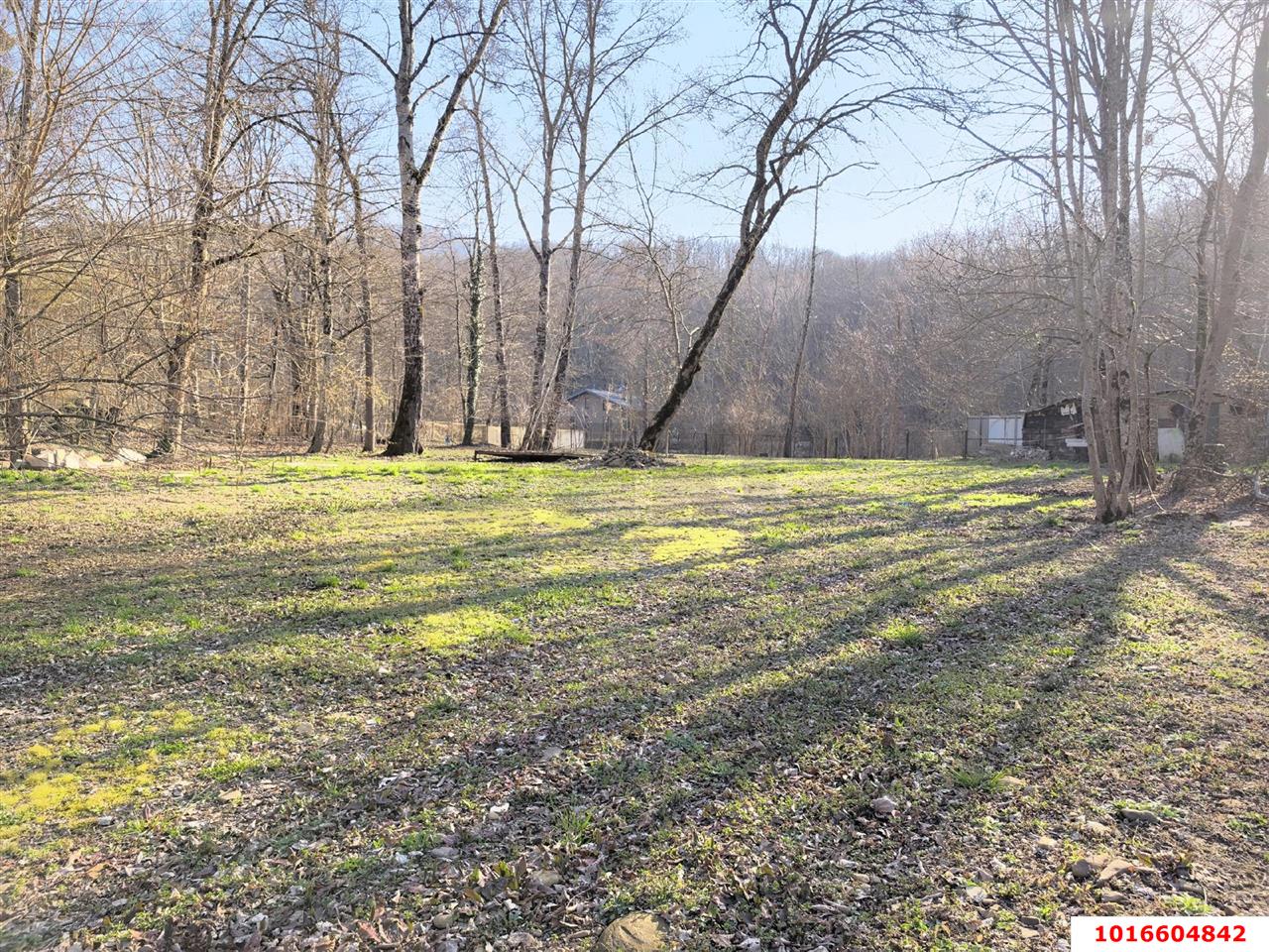 Фото №5: Земельный участок под ИЖС - Планческая Щель, ул. Мира