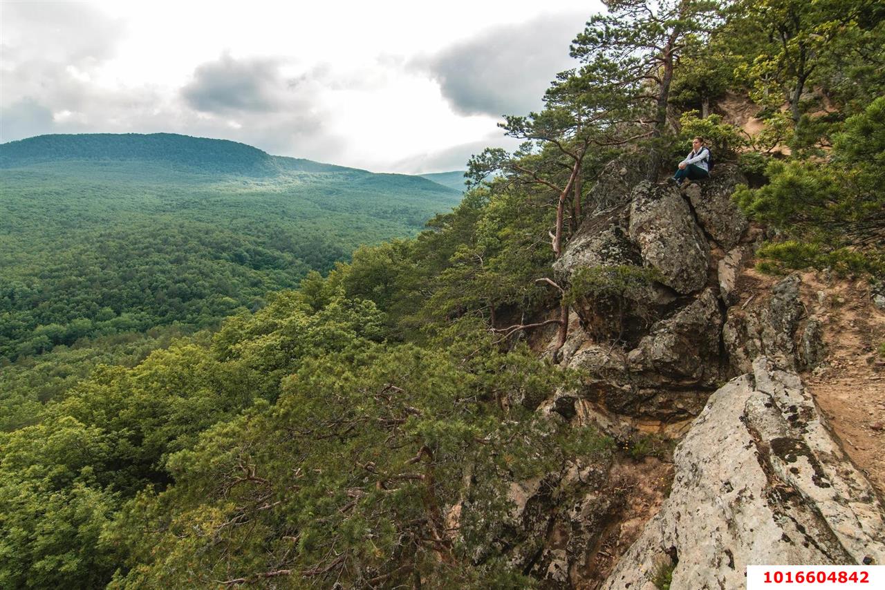 Фото №3: Земельный участок под ИЖС - Планческая Щель, ул. Мира