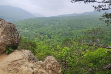 Фото №2: Земельный участок под ИЖС - Планческая Щель, ул. Мира