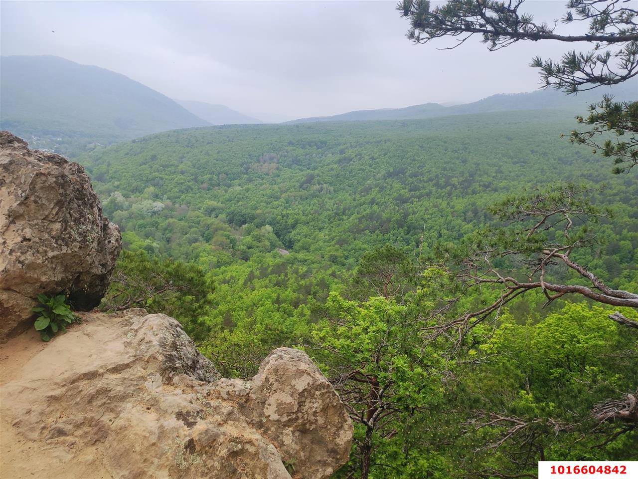 Фото №2: Земельный участок под ИЖС - Планческая Щель, ул. Мира