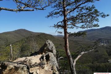 Фото №4: Земельный участок под ИЖС - Планческая Щель, ул. Мира