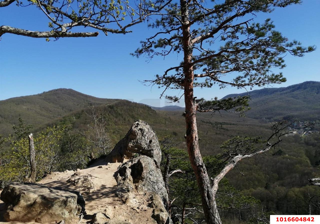 Фото №4: Земельный участок под ИЖС - Планческая Щель, ул. Мира