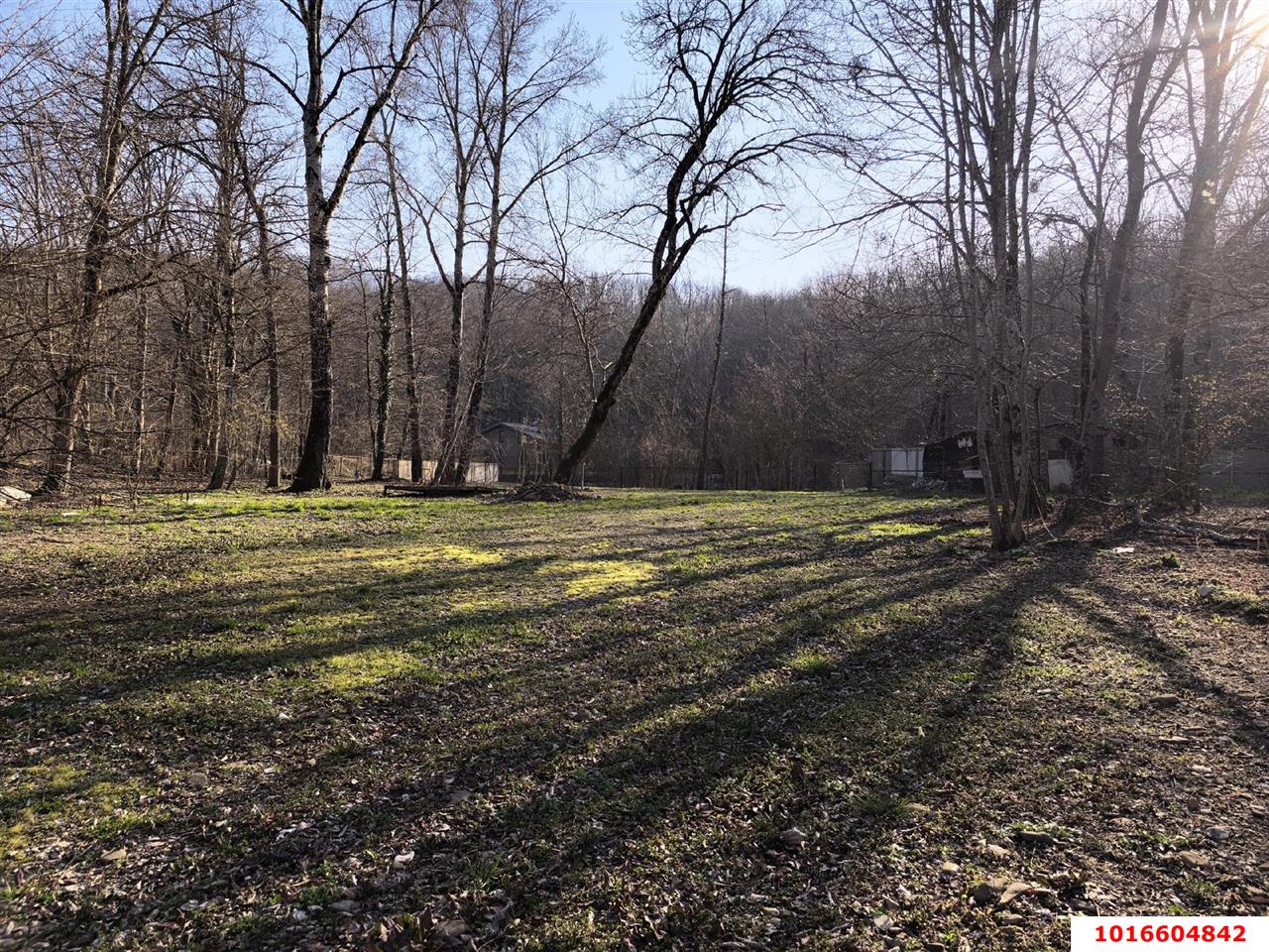 Фото №7: Земельный участок под ИЖС - Планческая Щель, ул. Мира