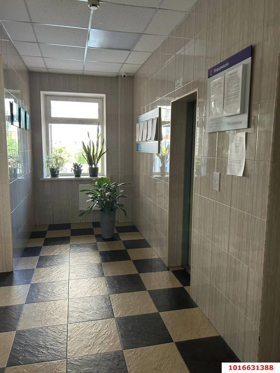 Фото №14: 1-комнатная квартира 50 м² - Краснодар, Центральный внутригородской округ, мкр. Центральный, ул. Промышленная, 19