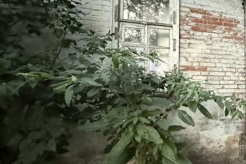 Фото №3: 1-комнатная квартира 15 м² - Краснодар, мкр. Центральный, ул. Митрофана Седина, 73