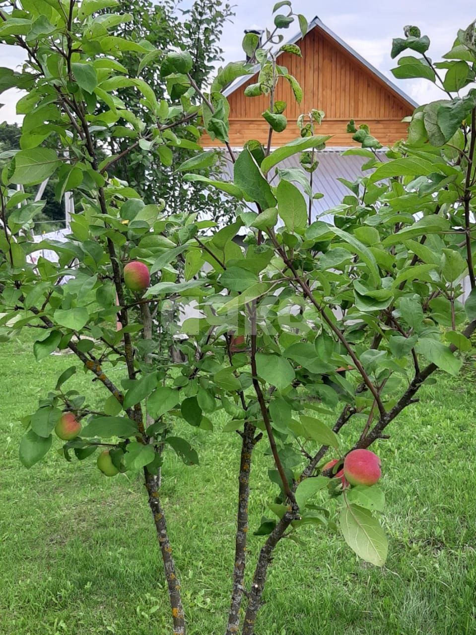 Фото №18: Дом 70 м² + 15 сот. - Ёлкино, ул. Советская, 15