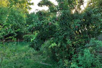 Фото №2: Земельный участок под ИЖС - Воронежская, ул. Комсомольская, 93