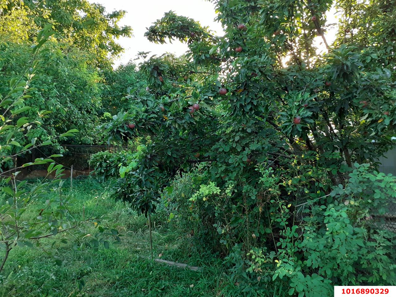 Фото №2: Земельный участок под ИЖС - Воронежская, ул. Комсомольская, 93