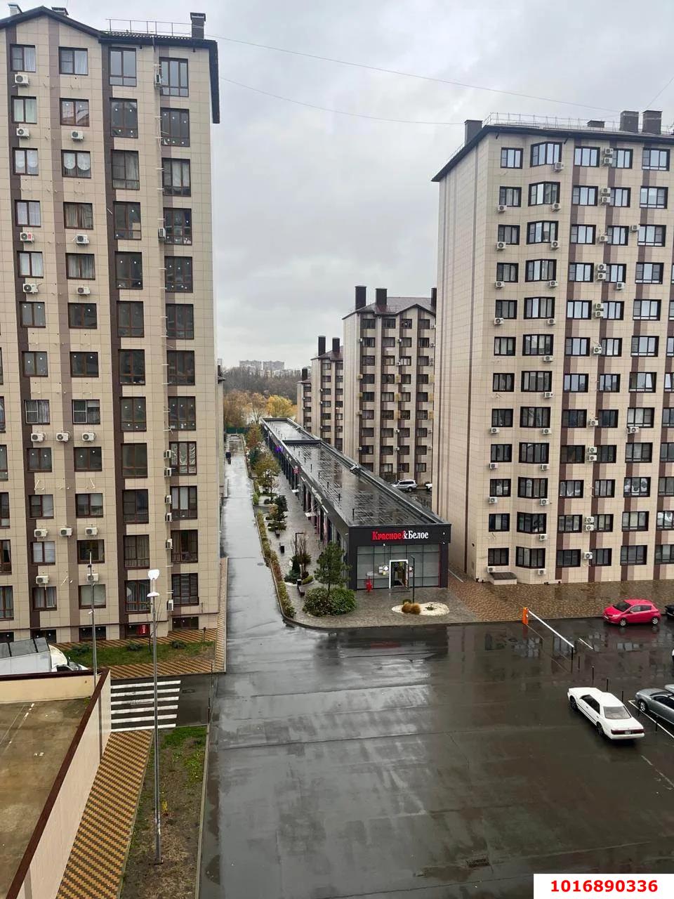 Фото №11: 1-комнатная квартира 31 м² - Новая Адыгея, мкр. жилой комплекс Баланс, ул. Береговая, 1к8