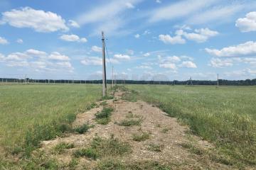 Фото №1: Личное подсобное хозяйство - эко-поселение Здравое, 