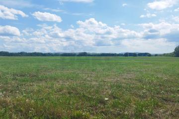 Фото №2: Личное подсобное хозяйство - эко-поселение Здравое, 