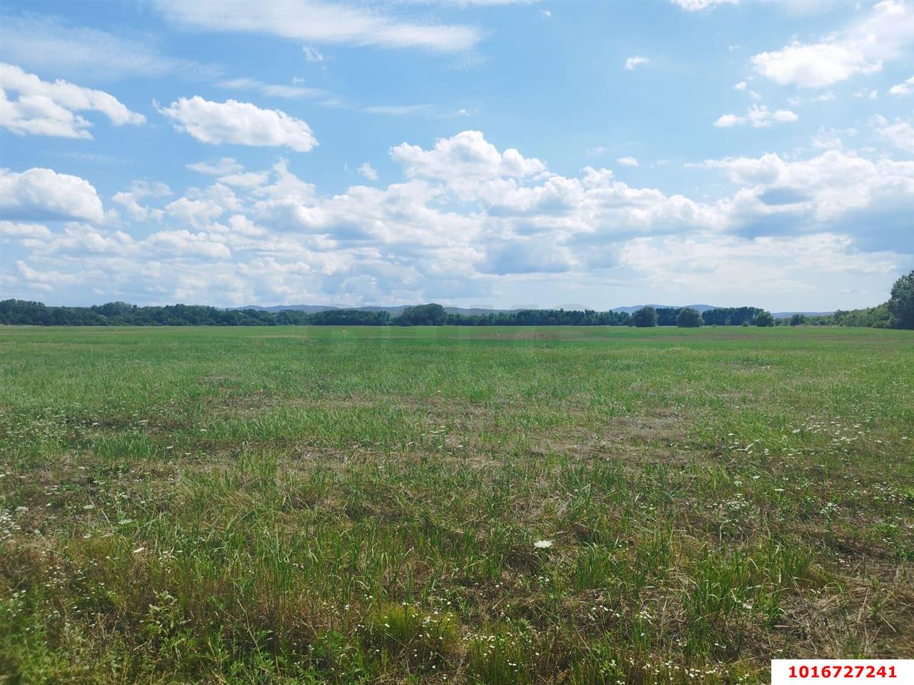 Фото №2: Личное подсобное хозяйство - эко-поселение Здравое