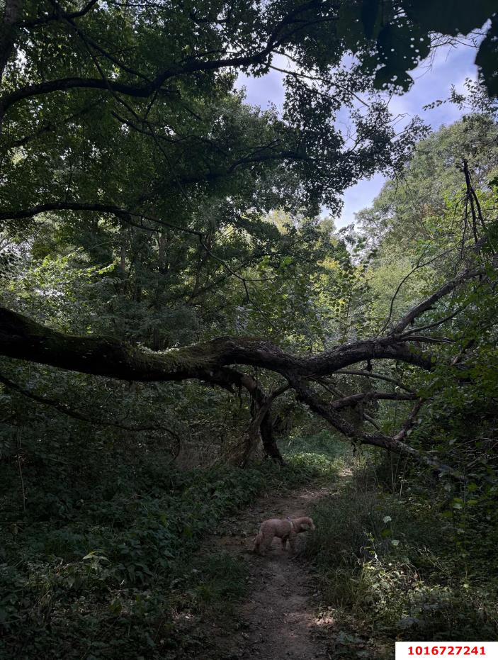 Фото №9: Личное подсобное хозяйство - эко-поселение Здравое