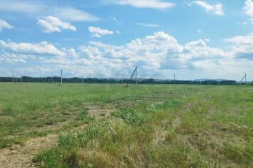 Фото №3: Личное подсобное хозяйство - эко-поселение Здравое, 