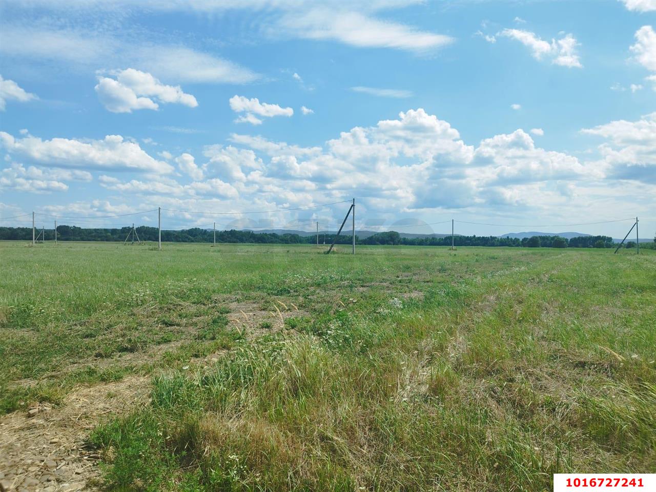 Фото №3: Личное подсобное хозяйство - эко-поселение Здравое