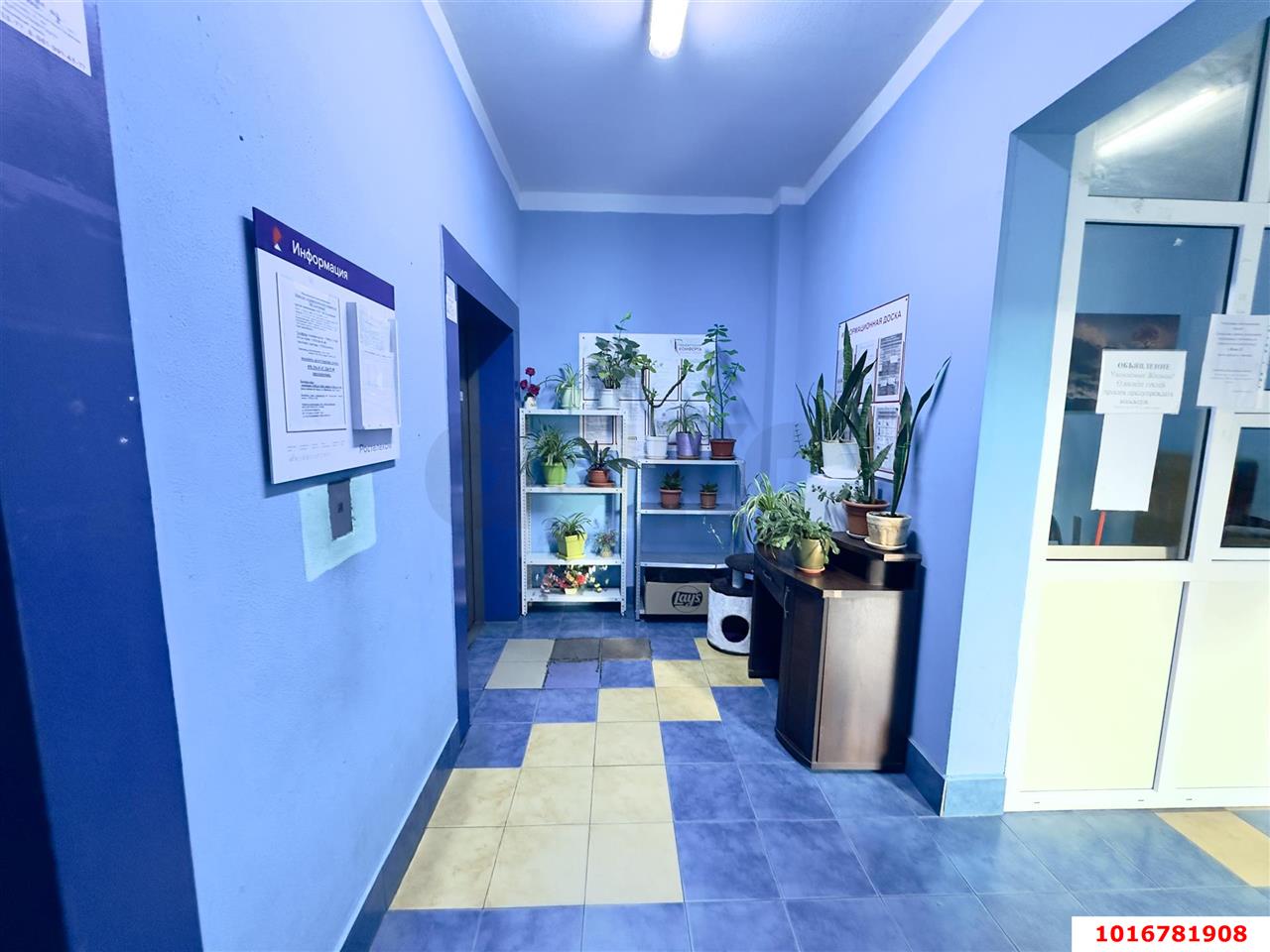 Фото №34: 2-комнатная квартира 54 м² - Краснодар, Карасунский внутригородской округ, мкр. Хлопчато-бумажный Комбинат, ул. Уральская, 13