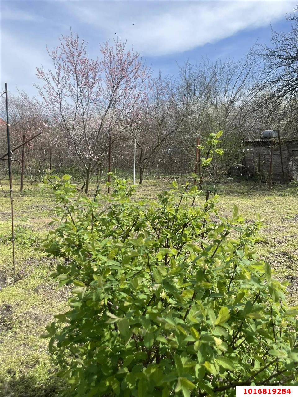 Фото №7: Дом 39 м² + 8.15 сот. - ТЭЦ, мкр. Прикубанский внутригородской округ, ул. Зелёная