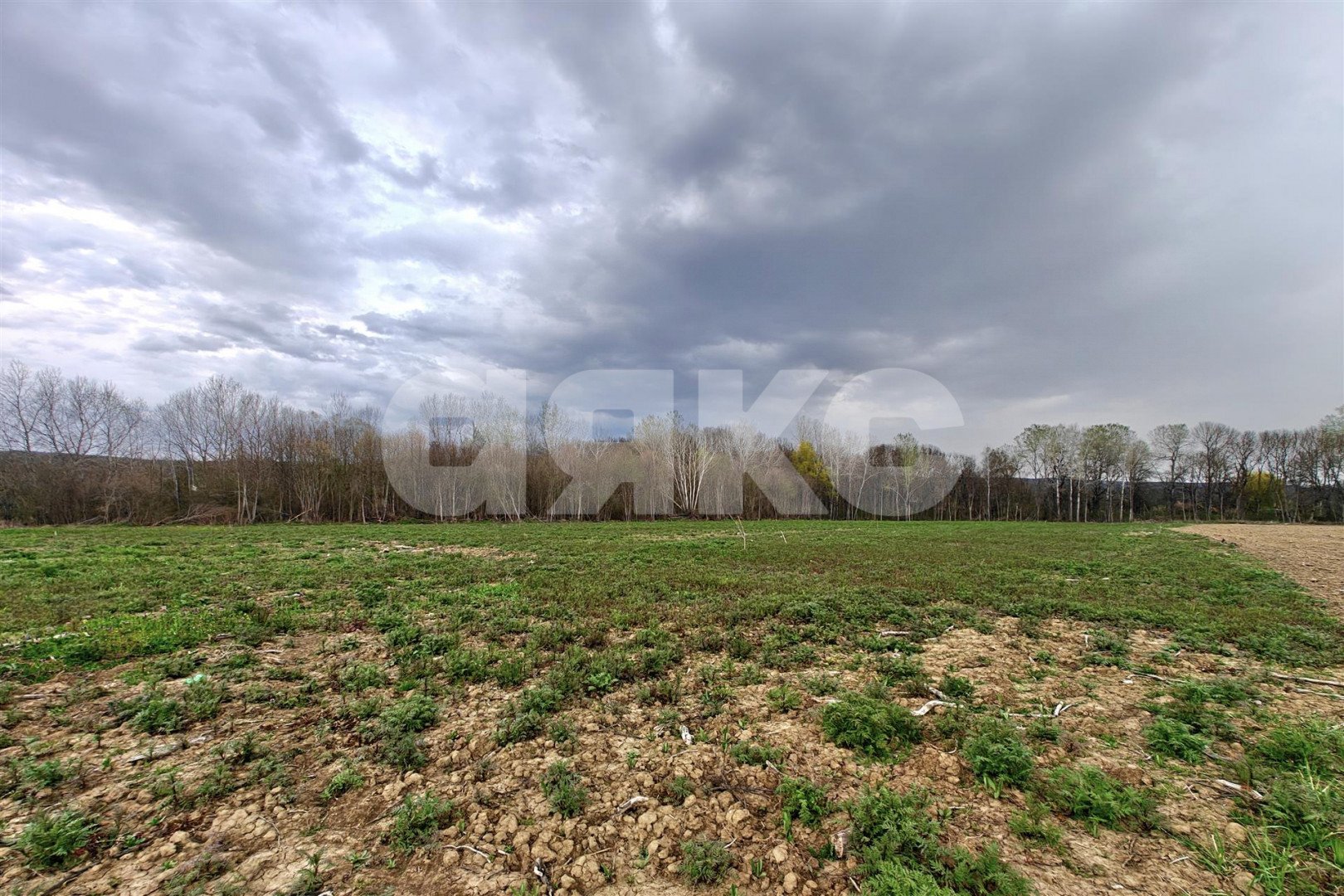 Фото №6: Коммерческая земля 161 сот. - Крепостная, пер. Мира, 1