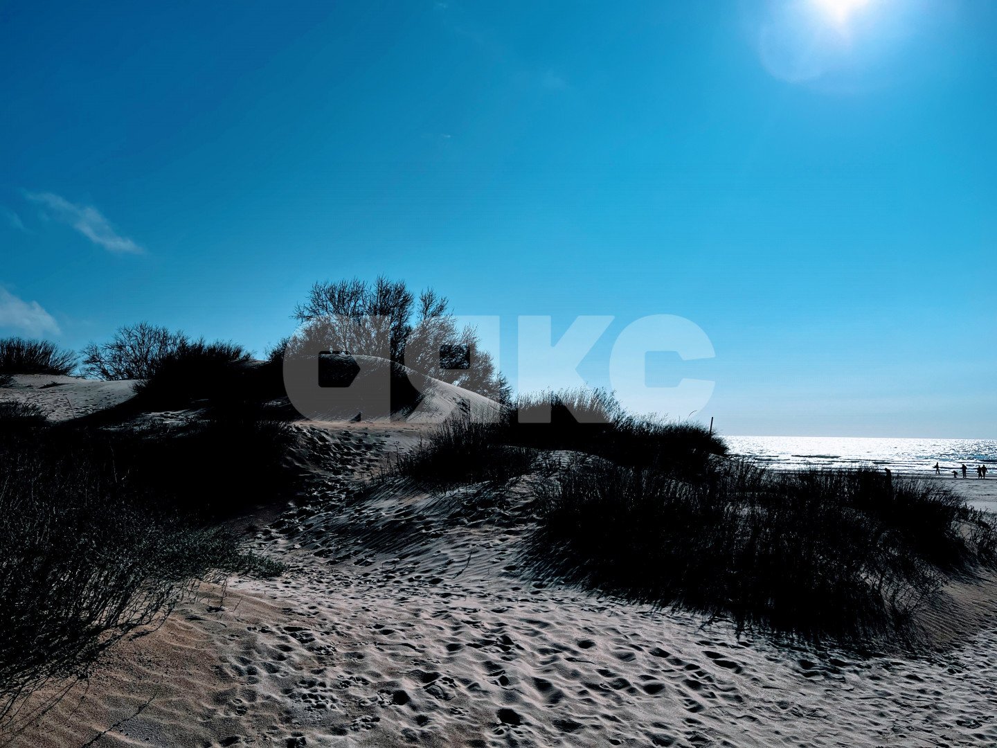 Фото №22: Коммерческая земля 7 сот. - Анапа, пр-д Золотистый