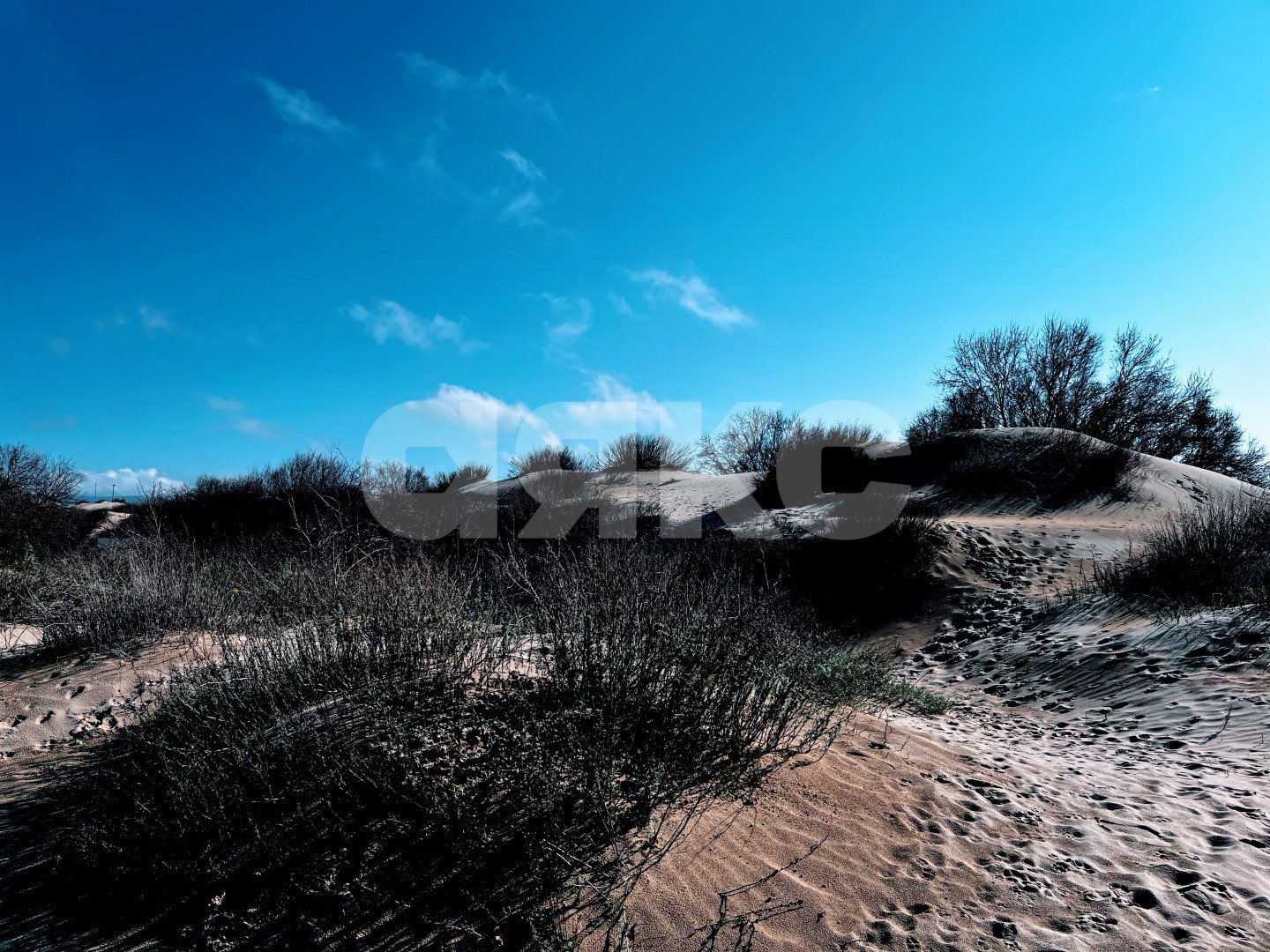 Фото №23: Коммерческая земля 7 сот. - Анапа, пр-д Золотистый