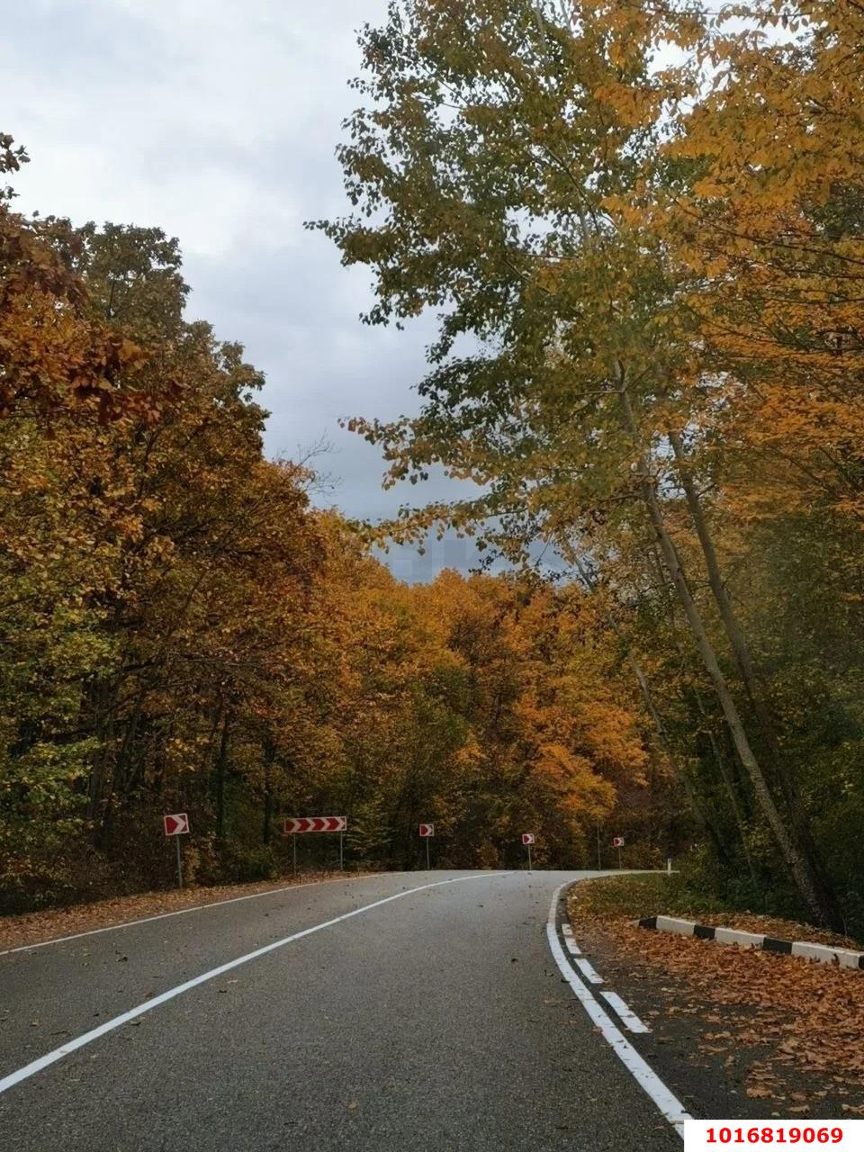 Фото №19: Дом 41 м² + 16 сот. - Кутаис, пер. Северный, 5