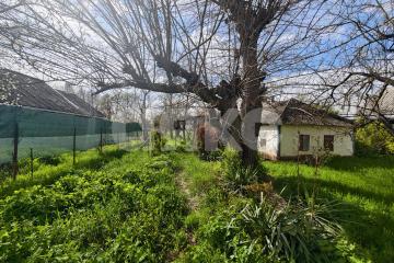 Фото №2: Земельный участок под ИЖС - Кореновск, мкр. 1-й квартал, ул. Чкалова, 16