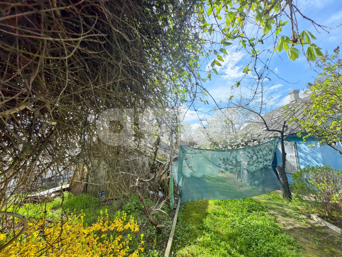 Фото №7: Земельный участок под ИЖС 16.2 сот. - Кореновск, мкр. 1-й квартал, ул. Чкалова, 16