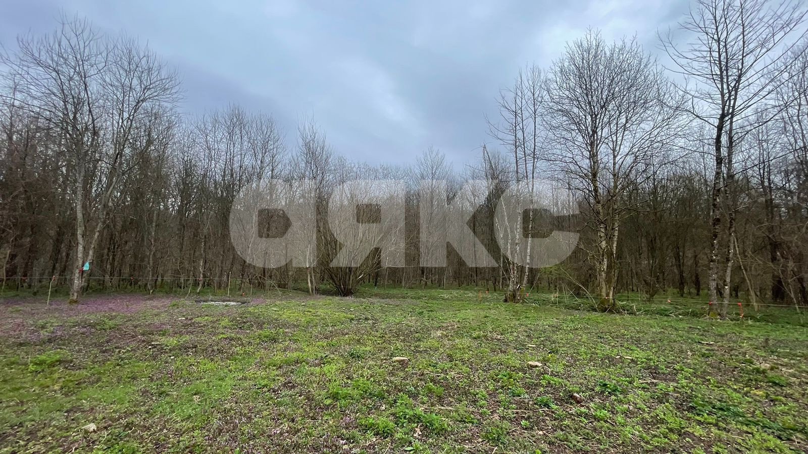 Фото №10: Участок садоводство 10 сот. - садовые участки Лесник