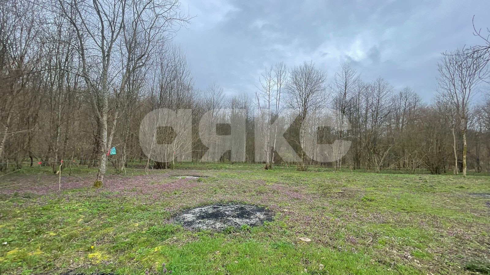 Фото №6: Участок садоводство 10 сот. - садовые участки Лесник