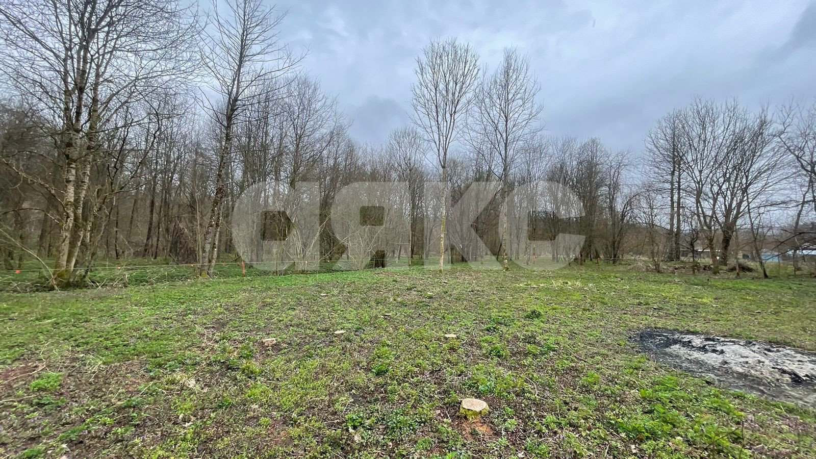 Фото №12: Участок садоводство 10 сот. - садовые участки Лесник