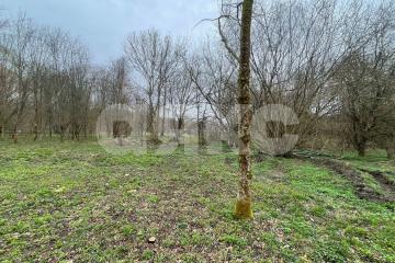 Фото №2: Участок садоводство - садовые участки Лесник, 