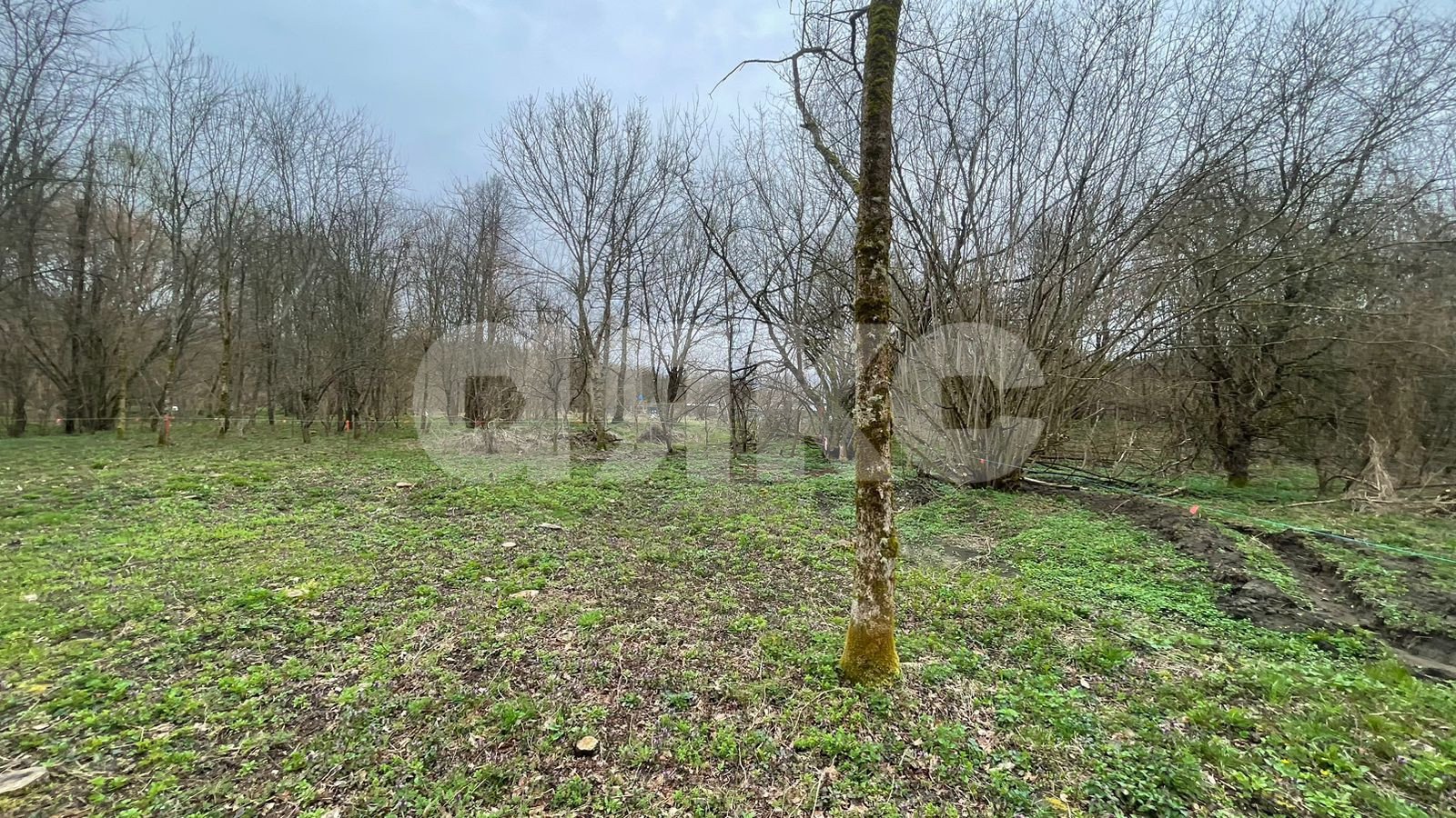 Фото №2: Участок садоводство 10 сот. - садовые участки Лесник