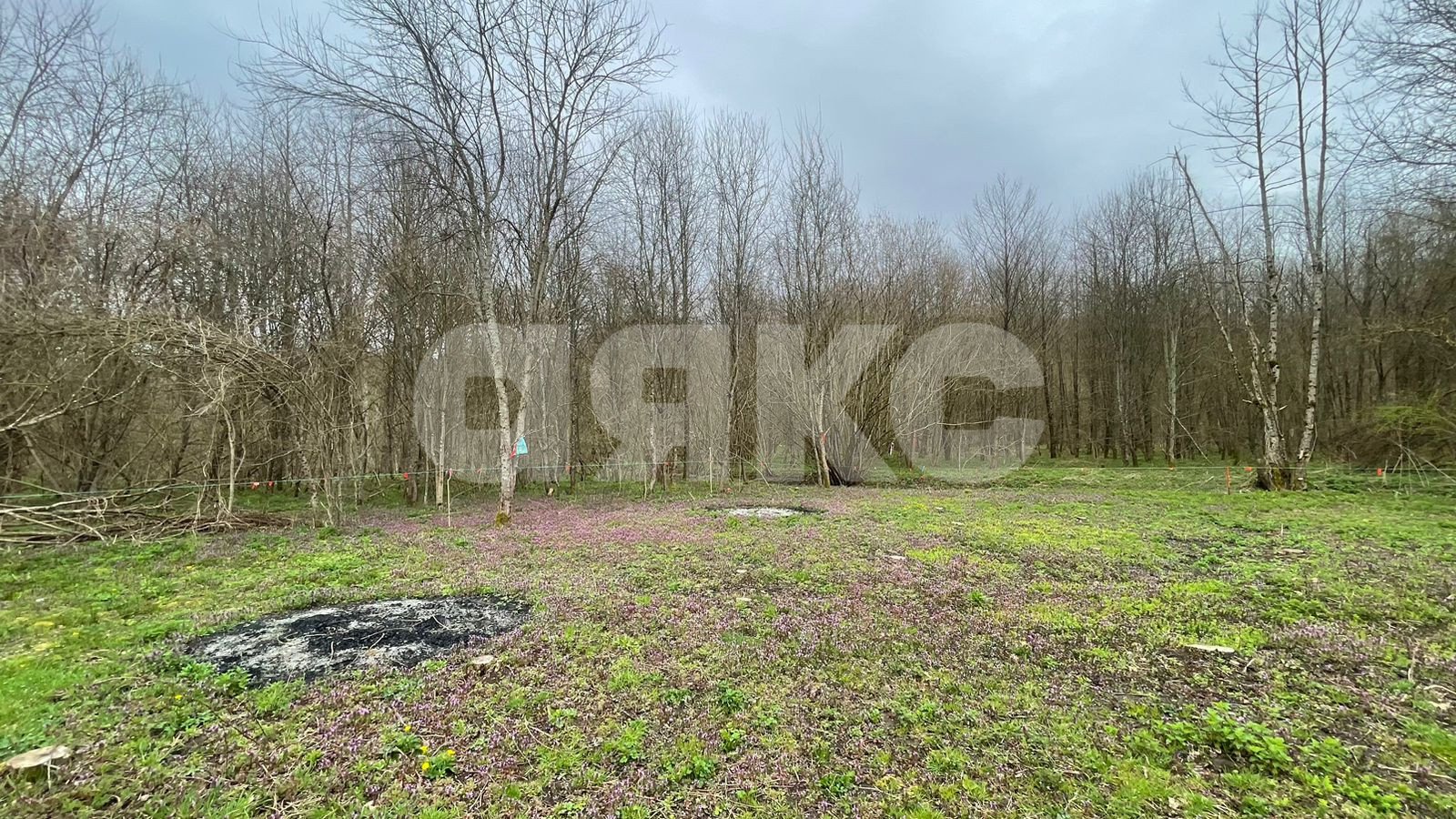 Фото №7: Участок садоводство 10 сот. - садовые участки Лесник