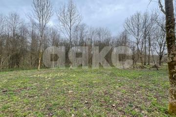 Фото №5: Участок садоводство - садовые участки Лесник, 