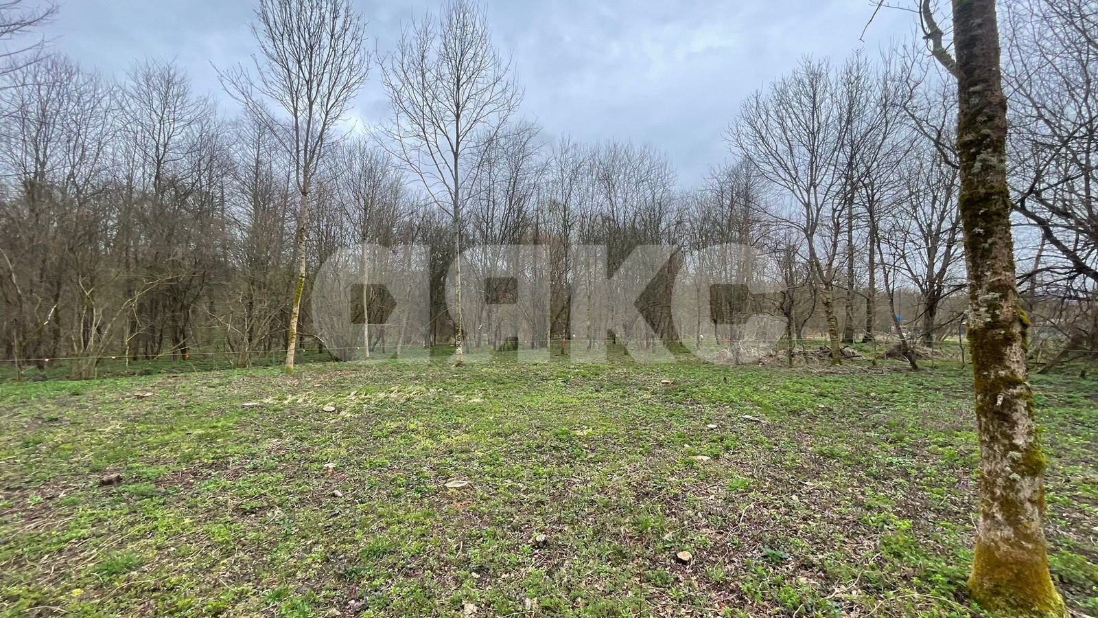 Фото №5: Участок садоводство 10 сот. - садовые участки Лесник