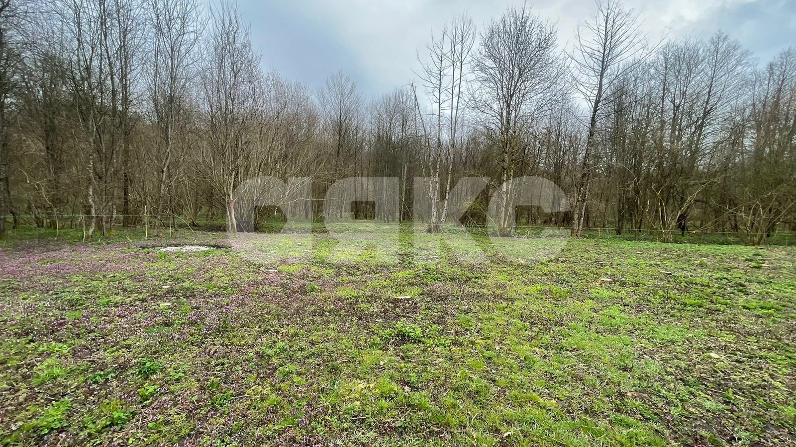 Фото №1: Участок садоводство 10 сот. - садовые участки Лесник