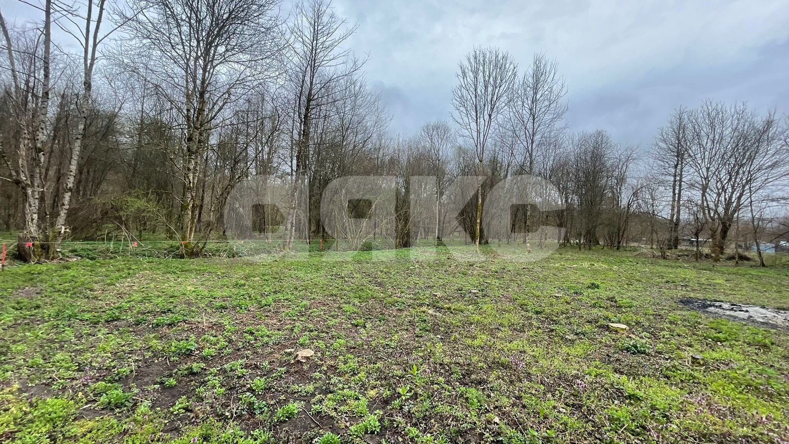 Фото №14: Участок садоводство 10 сот. - садовые участки Лесник