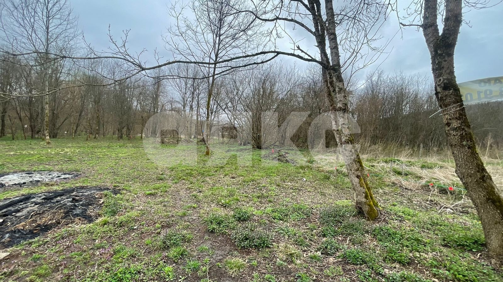 Фото №3: Участок садоводство 10 сот. - садовые участки Лесник