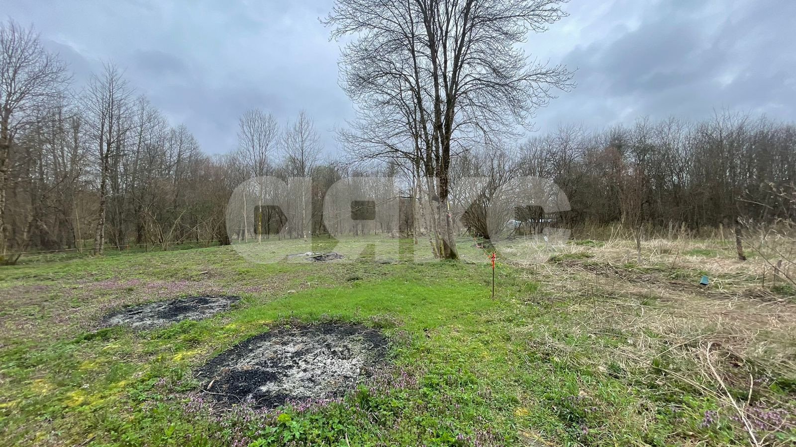 Фото №18: Участок садоводство 10 сот. - садовые участки Лесник