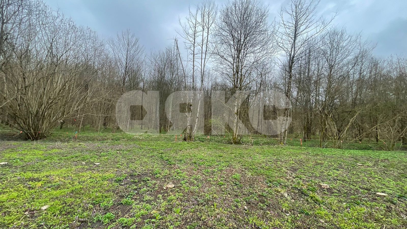 Фото №16: Участок садоводство 10 сот. - садовые участки Лесник