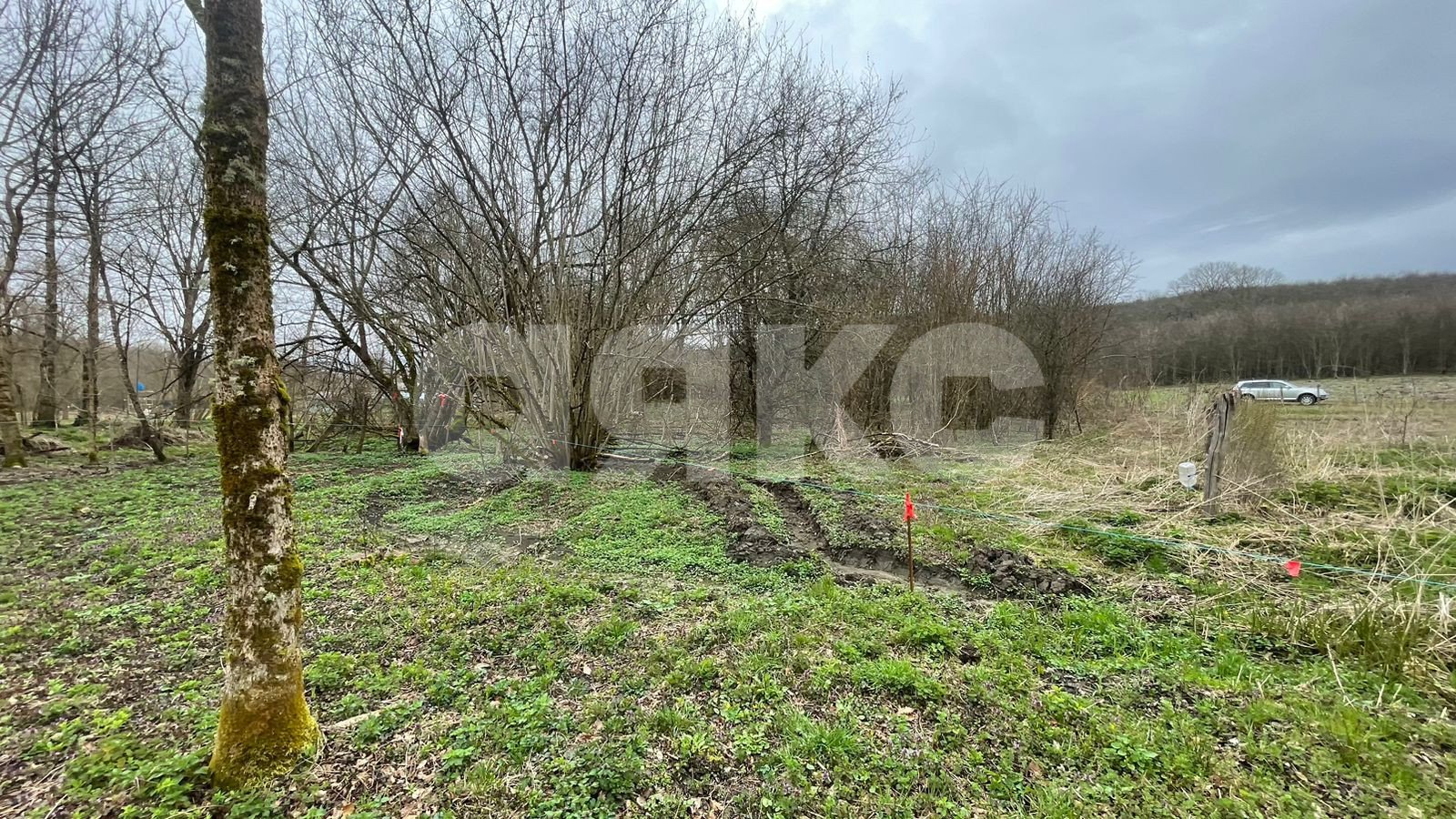 Фото №13: Участок садоводство 10 сот. - садовые участки Лесник