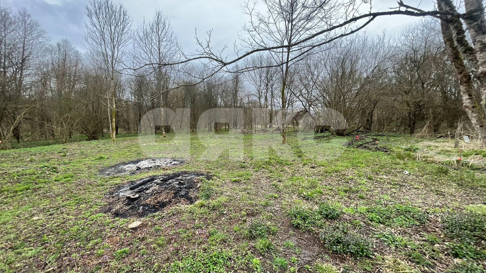 Фото №9: Участок садоводство 10 сот. - садовые участки Лесник