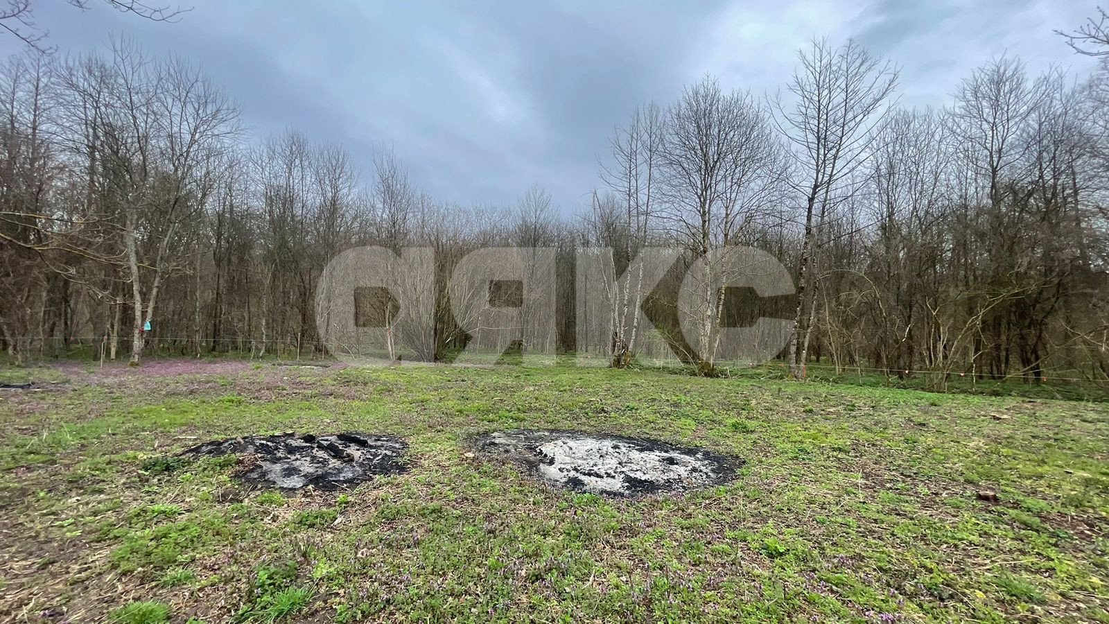 Фото №11: Участок садоводство 10 сот. - садовые участки Лесник